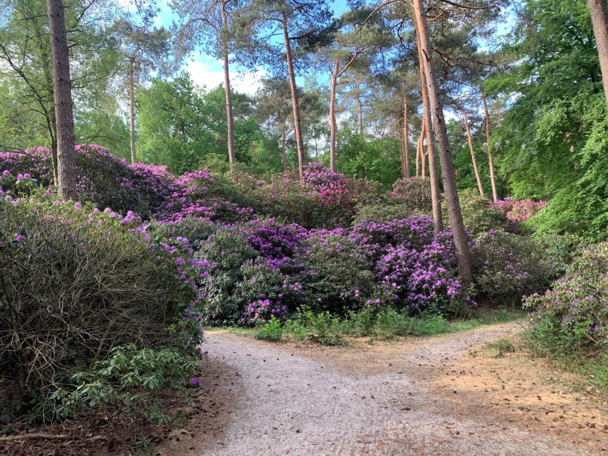 Duynparc Soest Hotel Eksteriør billede