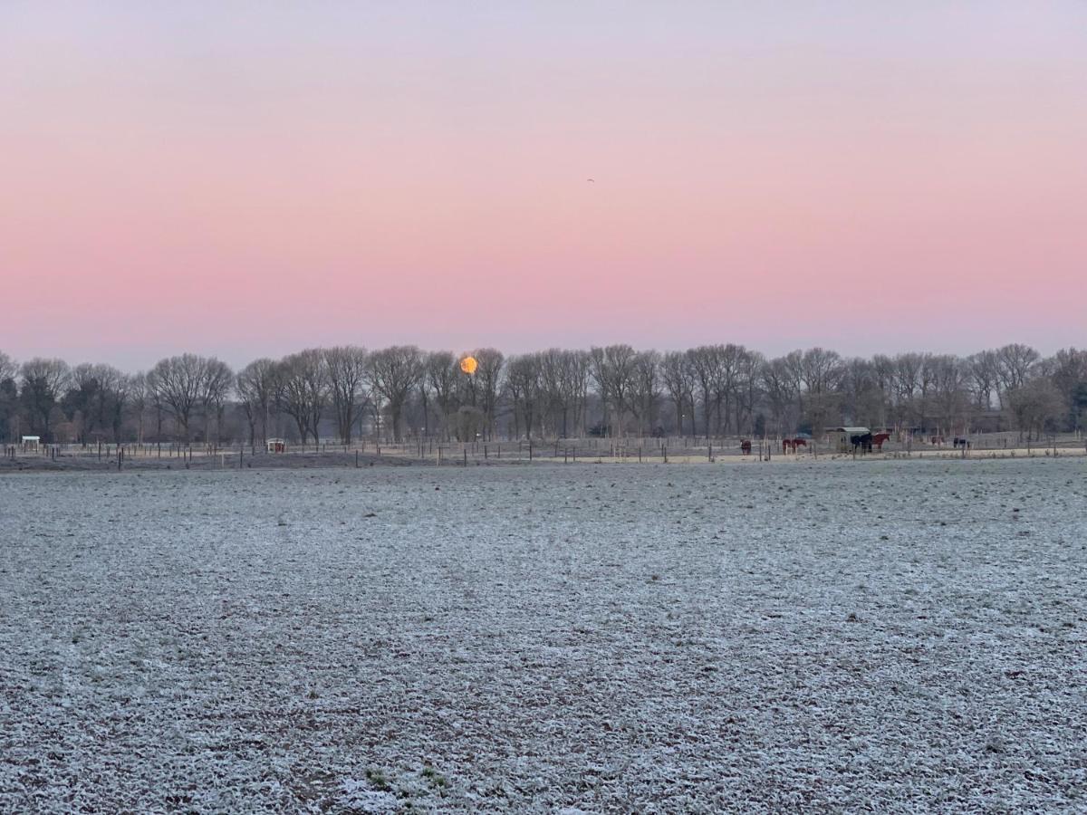 Duynparc Soest Hotel Eksteriør billede